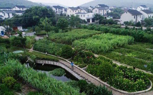常見污水治理方法有哪些？